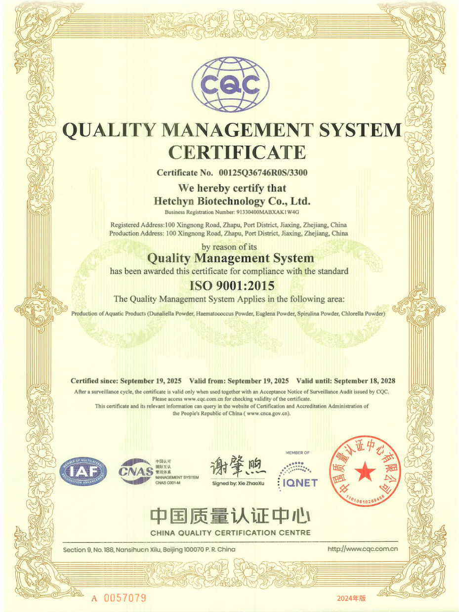 ISO 9001